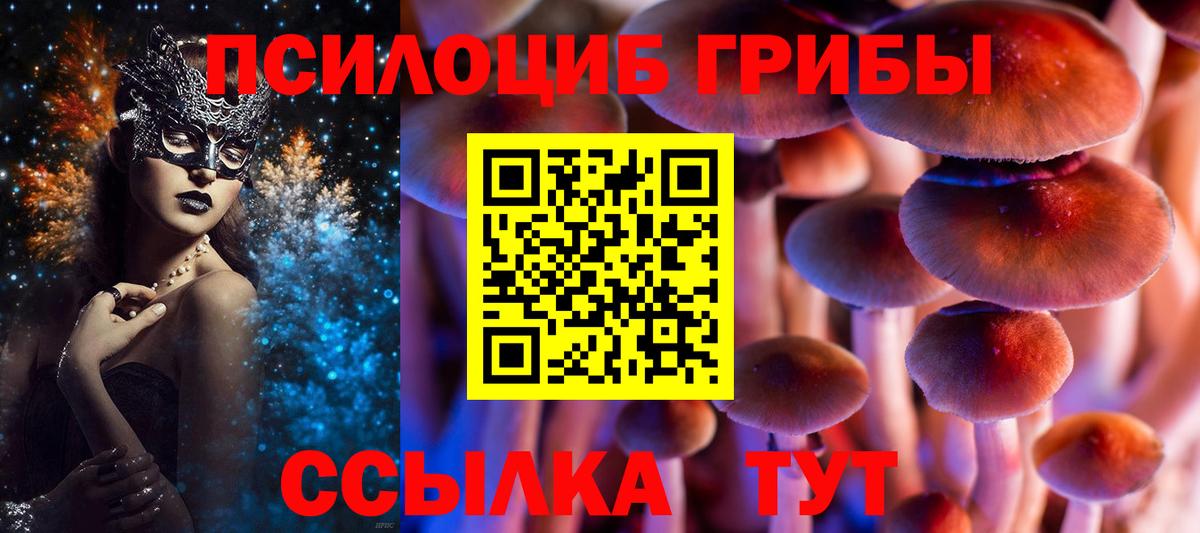 Галлюциногенные грибы мухоморы  Вход с VPN  Лесной 